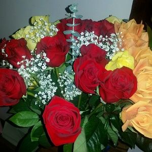 Meet your Posher, Bobbie